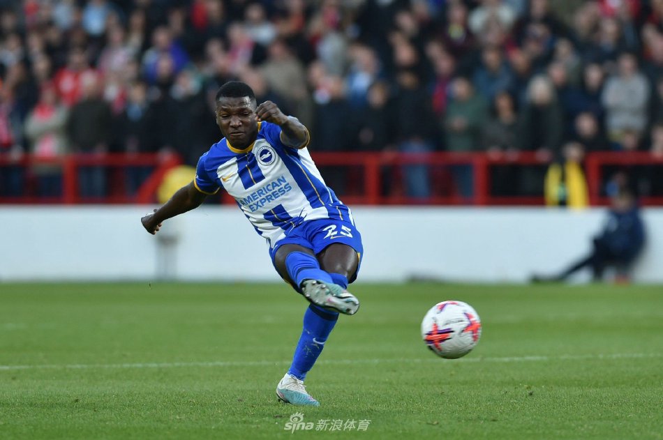 体锦标赛的 体锦标赛的